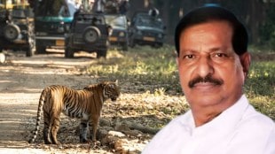 Maharashtra Leopard Safari announcement by Ganesh Naik | Wildlife conservation in Pune Ahmednagar Nashik | Forest Department Maharashtra leopard population growth | Action against leopard poaching gangs in Mumbai Sanjay Gandhi National Park
