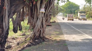 Tree burning incidents on Karad Patan road | Environmental damage in Vihe village Patan | Illegal tree cutting in Satara Maharashtra | Banyan tree fire case Karad Patan highway