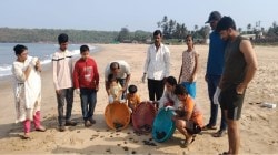 ​मालवण तालुक्यातील आचरा तोंडवळी किनाऱ्यावर ३४२ ऑलिव्ह रिडले कासवांची समुद्रात मुक्तता; संवर्धन उपक्रमाला मोठे यश