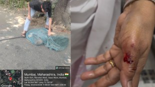 Vasai Stray Dog Attack News
