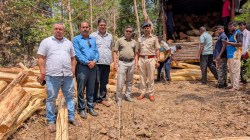 मुंबई–अहमदाबाद महामार्गावर वनविभागाची धडक कारवाई; खैर तस्करांचा डाव उधळला, ३५ लाखांचा मुद्देमाल जप्त; विशेष तपास पथकाद्वारे सखोल चौकशी करण्याची मागणी.