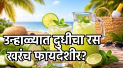 उन्हाळ्यात दुधी भोपळ्याचा रस पिण्याचे जबरदस्त फायदे; पण कधी व कसा प्यावा?