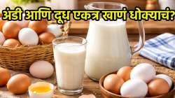 तुम्ही देखील दररोज अंडी आणि दूध एकत्र खाता? थांबा… वेळीच व्हा सावध; नाही तर…