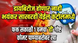 डायबिटीज होणार नाही! शरीरात साचलेली भयंकर साखरही येईल कंट्रोलमध्ये; फक्त सकाळी १ चमचा ‘ही’ गोष्ट कोमट पाण्याबरोबर खा