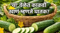 तुम्ही काकडी नाही, विष खाताय… काकडी खाण्याची ‘ही’ योग्य वेळ लक्षात ठेवा; नाही तर…