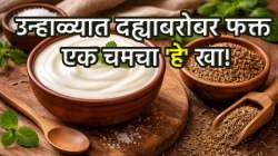 उन्हाळ्याच्या दिवसांत कमी भूक, अपचन व पोटफुगीमुळे त्रस्त आहात? मग एक वाटी दह्याबरोबर फक्त ‘हा’ एक पदार्थ खा