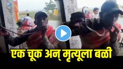 एक चूक अन् मृत्यूला बळी पडला व्यक्ती! किंग कोब्राचे चुंबन घेतानाच घडला अनर्थ प्रकार; घटनेचा चित्तथरारक Video व्हायरल