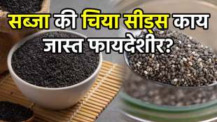 Basil Seed or Chia Seeds in Summer
