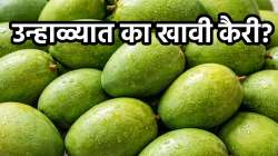 कैरी खाण्याचे ‘हे’ फायदे वाचून तुम्हीही व्हाल चकित, ‘या’ उन्हाळ्यात आवर्जून खा