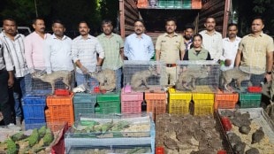 Nandurbar police wildlife smuggling bust | Indian foxes and parrots seized in Visarwadi | Malegaon to Gujarat animal trafficking case | Local Crime Branch Nandurbar operation
