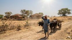 राज्यात उष्णतेची लाट; विदर्भाचा पारा ४३ अंशावर, हवामान विभागाकडून ‘या’ भागांना इशारा