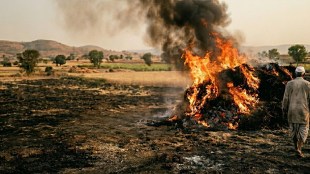 Baglan farmer Ananda Sonawane dies | Nashik farmer field fire accident | Malegaon farmer saving fodder from fire | Baglan agricultural tragedy