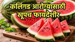 Watermelon eating in summer