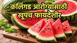 उन्हाळ्यात कलिंगड खाण्याआधी कलिंगड खाण्याची योग्य पद्धत व वेळ जाणून घ्या…