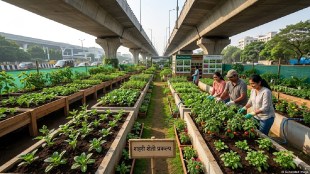 Urban farming project Mumbai Vile Parle flyover | BMC urban gardening initiative Maharashtra | Parag Alavani urban farming concept | Vile Parle Cultural Center plant diversity gallery