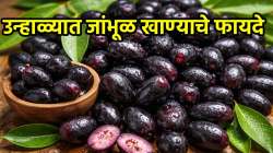 उन्हाळ्यात एकदा तरी आवर्जून जांभळे खा! जबरदस्त फायदे वाचून व्हाल चकित