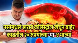 नसांमध्ये अडकलेले खराब कोलेस्ट्रॉल खेचून बाहेर काढतील २० रूपयांच्या ‘या’ ४ भाज्या; फक्त या पद्धतीने करा सेवन