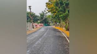 Palghar Rain, Palghar Weather Update, Unseasonal Rain Maharashtra, Maharashtra Rain Alert, IMD Forecast Maharashtra,