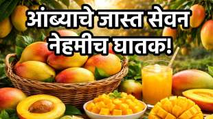 Excessive consumption of mango is very dangerous