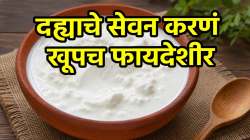 दह्याच्या सेवनाने कर्करोगाचा धोका कमी होतो? जाणून घ्या खाण्याची योग्य पद्धत व वेळ