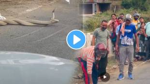 Shocking video of two snake romance on road watch what people does with them video goes viral on social media