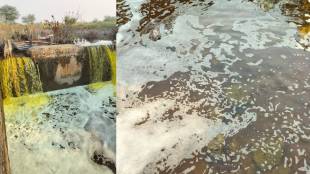 Bawanthadi canal chemical water pollution Bhandara | Tumsar Mohadi agriculture paddy crop damage | Toxic water discharge in Maharashtra irrigation canals | Bhandara farmers protest against industrial waste in river
