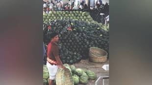 Vashi APMC fruit market watermelon stock | Mumbai Paydhuni poisoning case update | Watermelon price drop Maharashtra | Food poisoning causes doctors advice English