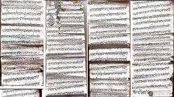 Maratha History : राजापूरात सापडले १७०९ मधील दुर्मीळ राजाज्ञापत्र आणि मराठा प्रशासनाच्या शिस्तबद्धतेचा दस्तऐवजी पुरावे…