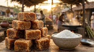 Jaggery prices vs sugar rates Maharashtra | Latur jaggery market trends | Jaggery powder manufacturing demand | Sugarcane byproduct market analysis India