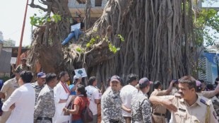 Nashik tree cutting protest Gangapur Road | Women climbing banyan tree to save it Nashik | Simhastha Kumbh Mela development tree felling | Nashik Police detaining environment activists