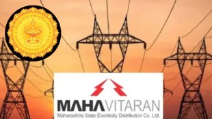Mahavitran split Maharashtra cabinet decision | MSEB Solar Agro Power Limited for farmers | Mahavitran IPO details Marathi news | Maharashtra power sector reforms 2026