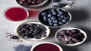 Blueberries health benefits for heart and diabetes | Nagpur Nutrition Conference 2026 | Superfood blueberry nutritional value | Preventive healthcare tips Maharashtra