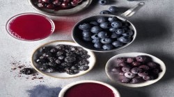 ब्लूबेरी ठरते ‘सुपरफूड’… नागपूराच्या न्यूट्रिशन परिषदेचा दावा