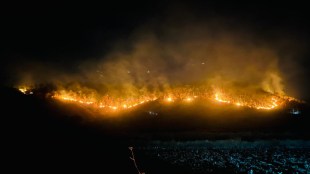 Nashik forest fire Peth Surgana Dindori | Wildfire environmental damage Maharashtra | West Forest Division Nashik negligence | Forest conservation and wildfire prevention Marathi news