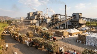 Satara sugar factory crushing season 2024 report | Jarandeshwar Sugar Mill production news | Ajinkyatara factory sugar recovery rate | Maharashtra sugar industry farmers payment update