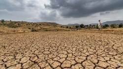 मान्सून २०२६ : मोसमी पावसाची चिंता वाढली; जून ते सप्टेंबर महिन्यात ”किती” टक्के पाऊस होणार?