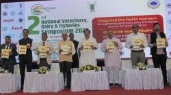 पशु-पक्षी राजकीय कार्यकर्त्यांप्रमाणे ‘झिंदाबाद’चे नारे लावू शकत नाहीत; केंद्रीय राज्यमंत्री बघेल म्हणाले, ‘अमेरिकेने कर लावला तरी…’