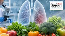 Lung Cancer Risk: फळे आणि भाज्या फुफ्फुसांच्या कॅन्सरला कारणीभूत ठरू शकतात का?