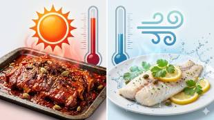 Summer diet tips for non-veg lovers | healthy eating habits in summer | food precautions for summer heat | expert advice on non-veg diet | summer food guide Maharashtra