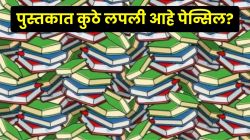 Optical Illusion: डोळ्यांची खरी परीक्षा! पुस्तकाच्या मध्यभागी लपलेली पेन्सिल तुम्हाला दिसतेय का? एकदा क्लिक करून नीट पाहा!