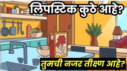 Optical Illusion: तुम्ही आहात का तीक्ष्ण? मग ‘या’ चित्रातील लिपस्टिक शोधून दाखवाच, फक्त १% लोकांना जमलंय!