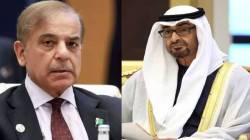 Pakistan-UAE : इराण युद्धात मध्यस्थी करायला निघालेल्या पाकिस्तानला धक्का; यूएईने घेतला ‘हा’ मोठा निर्णय