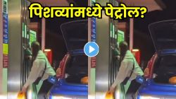 बाई हा काय प्रकार? पेट्रोल पंपावर आली, चक्क ३ पिशव्यांमध्ये पेट्रोल भरलं; पुढे काय केलं पाहून धक्का बसेल, पाहा Video