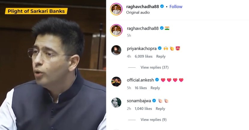 Raghav Chadha and Priyanka Chopra support post on Instagram