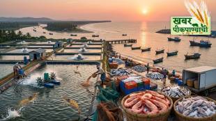 India shrimp export growth statistics | PM Matsya Sampada Yojana fisheries development | Indian seafood market global share | Frozen shrimp and fish export from Maharashtra India