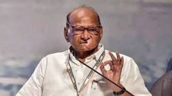 Sharad Pawar: “बारामतीची पोटनिवडणूक बिनविरोध व्हावी असा सल्ला मी काँग्रेसला देईन, पण निर्णय त्यांचा असेल”; शरद पवार काय म्हणाले?