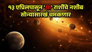 Shukra Guru gochar tri ekadash yog 2026