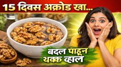 तुम्ही फक्त १५ दिवस अक्रोड भिजवून खाल्ले तर शरीरात काय बदल होतात? परिणाम पाहून थक्क व्हाल!