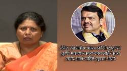 “मुख्यमंत्री देवेंद्र फडणवीस यांच्या फोटोवर फुल्या कुणी मारल्या? सत्य समोर आलं पाहिजे”; सुषमा अंधारेंचा दावा काय?