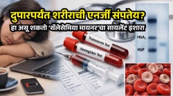 दुपारपर्यंत शरीराची एनर्जी संपतेय?हा असू शकतो ‘थॅलेसेमिया मायनर’चासायलेंट इशारा; दोन चाचण्या ठरू शकतात महत्त्वाच्या